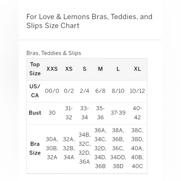 For Love and Lemons Tati Lace Corset Dress - Picture 11 of 13